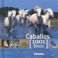 Caballos, de Rudel, Murielle | portada del libro