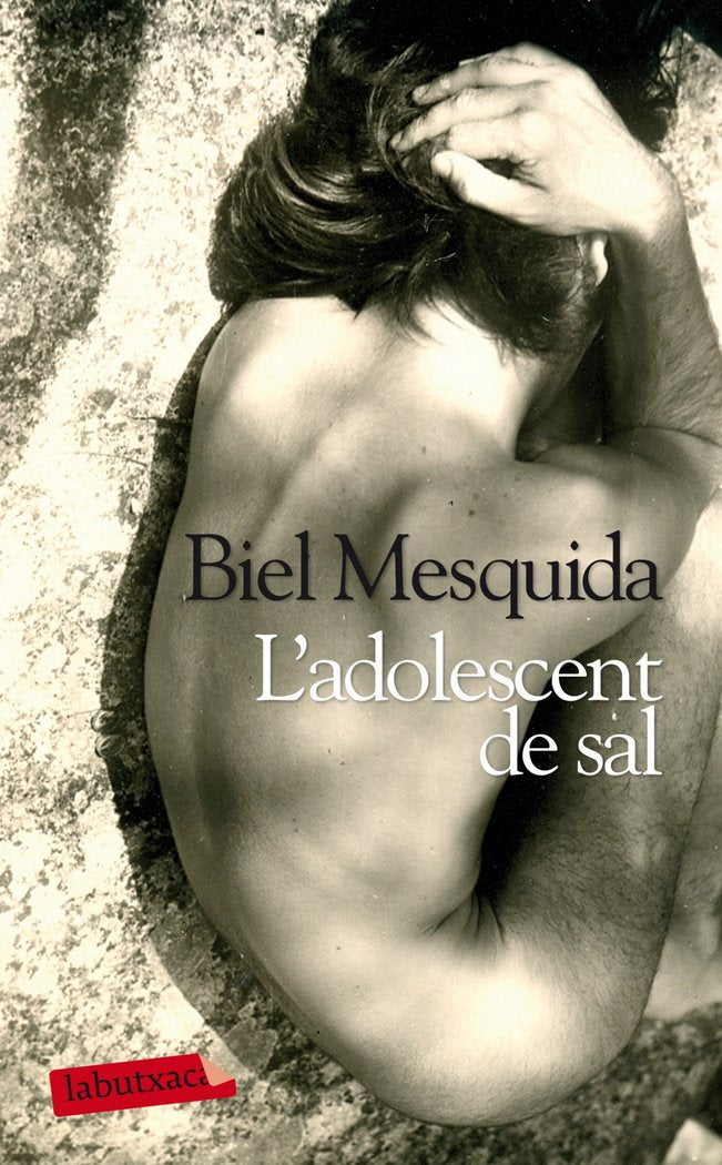 L'adolescent de sal, de Mesquida Amengual, Biel | portada del libro