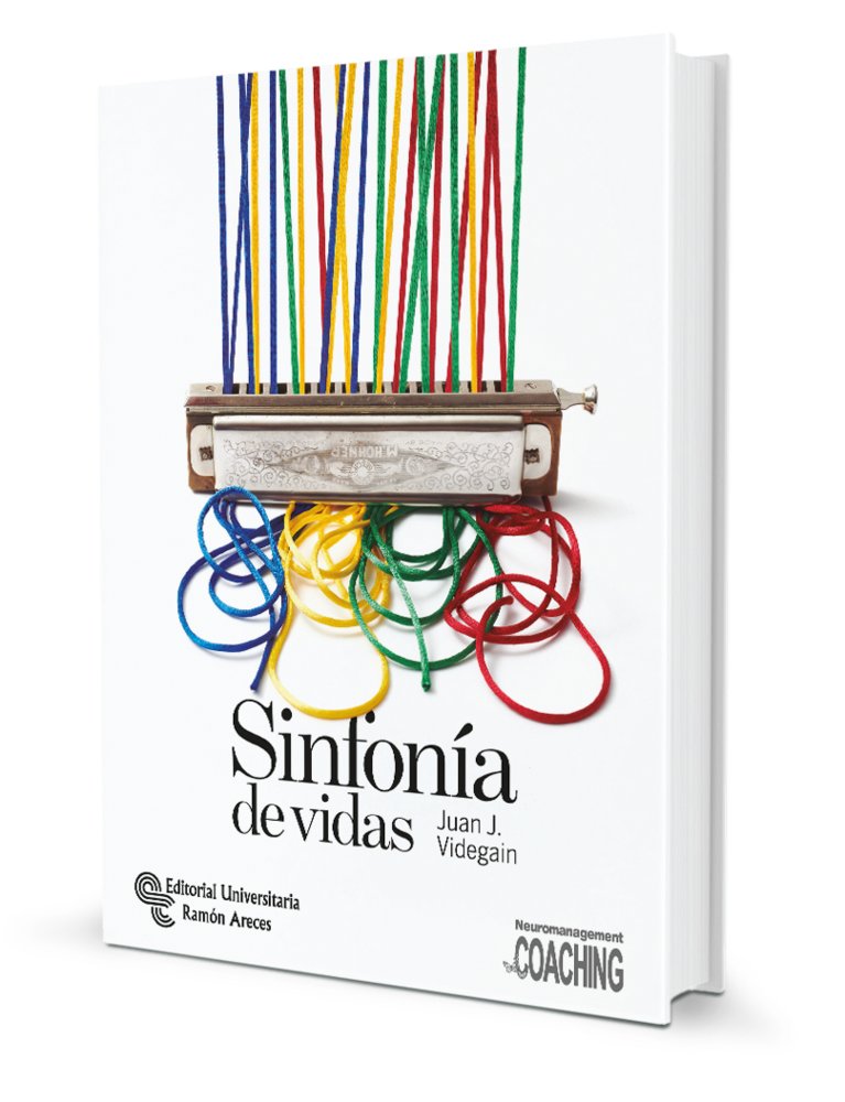 Sinfonía de vidas, de , Videgain Muro, Juan Jesús | portada del libro