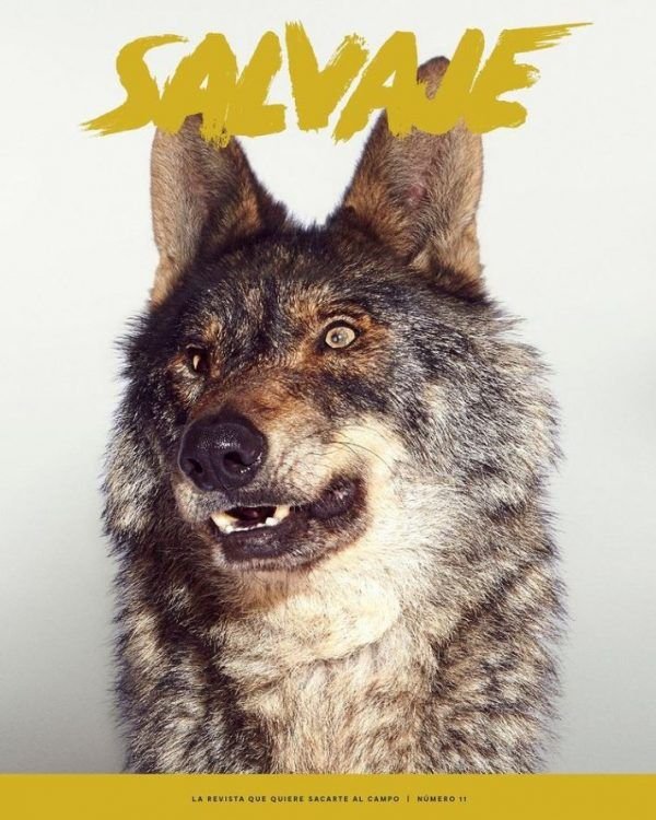 SALVAJE 11 | portada del libro