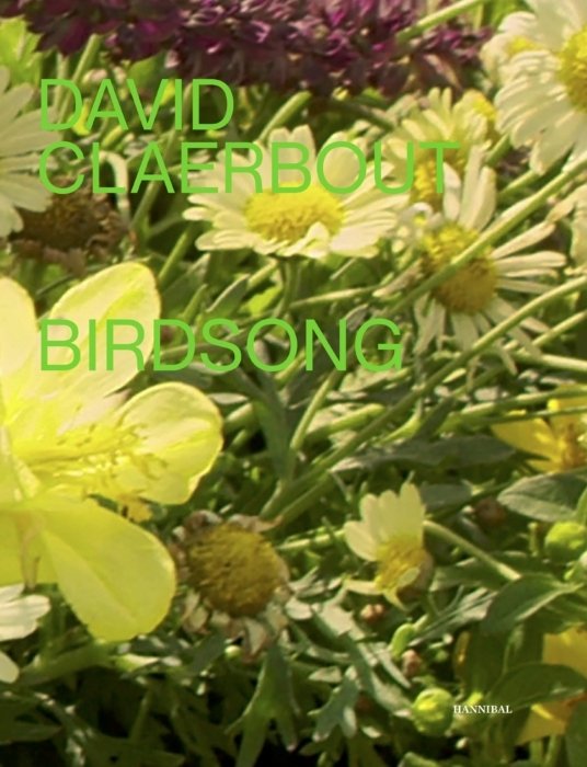 BIRDSONG, de CLAERBOUT, DAVID | portada del libro
