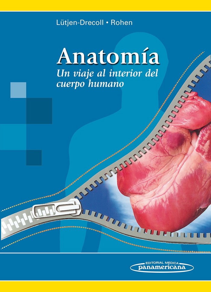 LUTJEN-DRECOLL:AnatomÆa, de LÜTJEN-DRECOLL, ROHEN | portada del libro