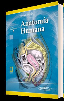 LATARJET:Anatomía Humana 5Ed. T2 +e, de LATARJET | portada del libro
