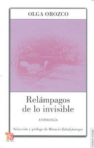 RELAMPAGOS DE LO INVISIBLE, de OROZCO | portada del libro
