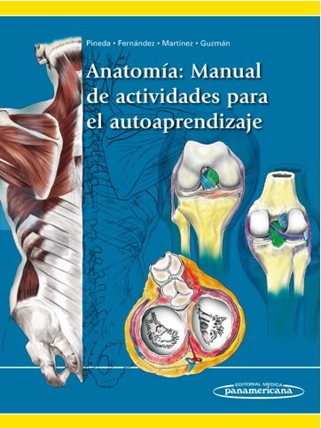 ANATOMIA MANUAL DE ACTIVIDADES PARA EL AUTOAPRENDIZAJE, de PINEDA | portada del libro