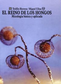 REINO DE LOS HONGOS,EL, de HERRERA | portada del libro
