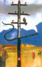 DETENGAN EL TREN, de Geraldine McCaughrean | portada del libro