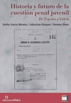 HISTORIA Y FUTURO DE LA CUESTION PENAL JUVENIL, de EMILIO GARCIA MENDEZ | portada del libro