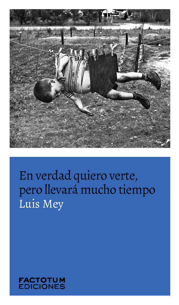 EN VERDAD QUIERO VERTE, PERO LLEVARá MUCHO TIEMPO, de LUIS MEY | portada del libro