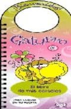 GATURRO LIBRO DE MIS CARTELES ROSA, de Varios autores | portada del libro