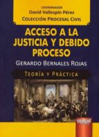 ACCESO A LA JUSTICIA Y DEBIDO PROCESO, de David Vallespín Pérez | portada del libro