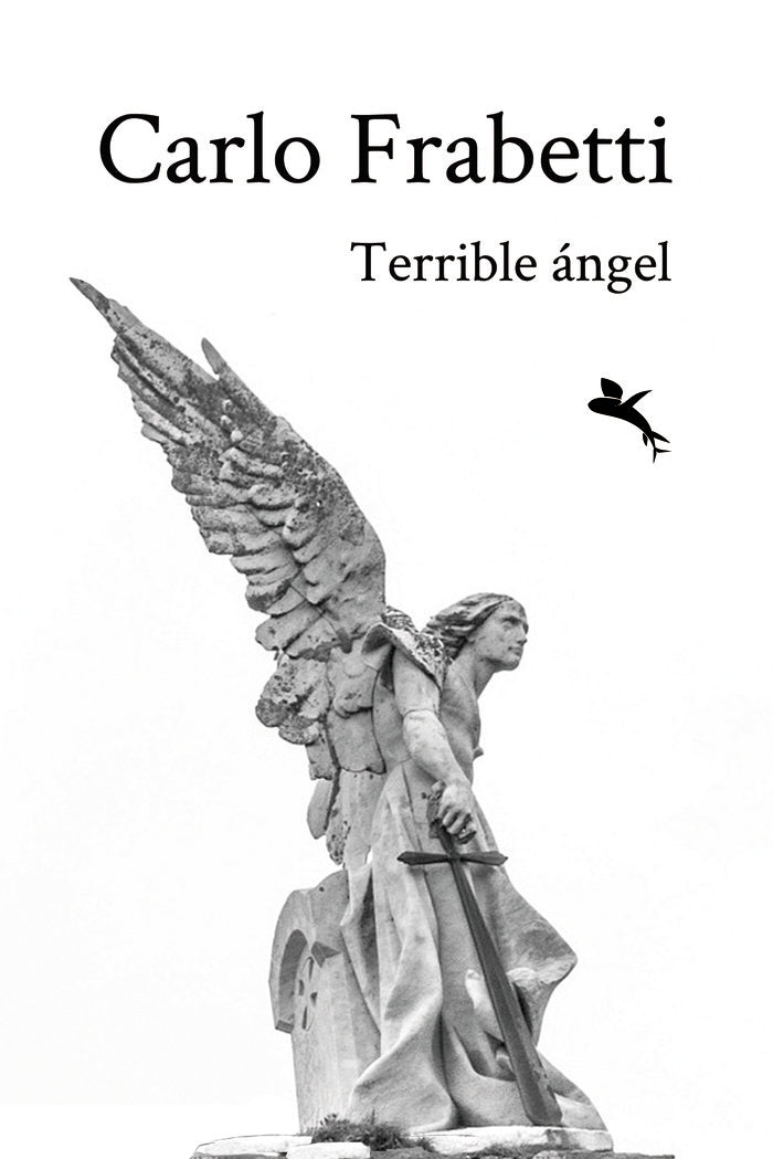 Terrible ángel, de Frabetti, Carlo | portada del libro