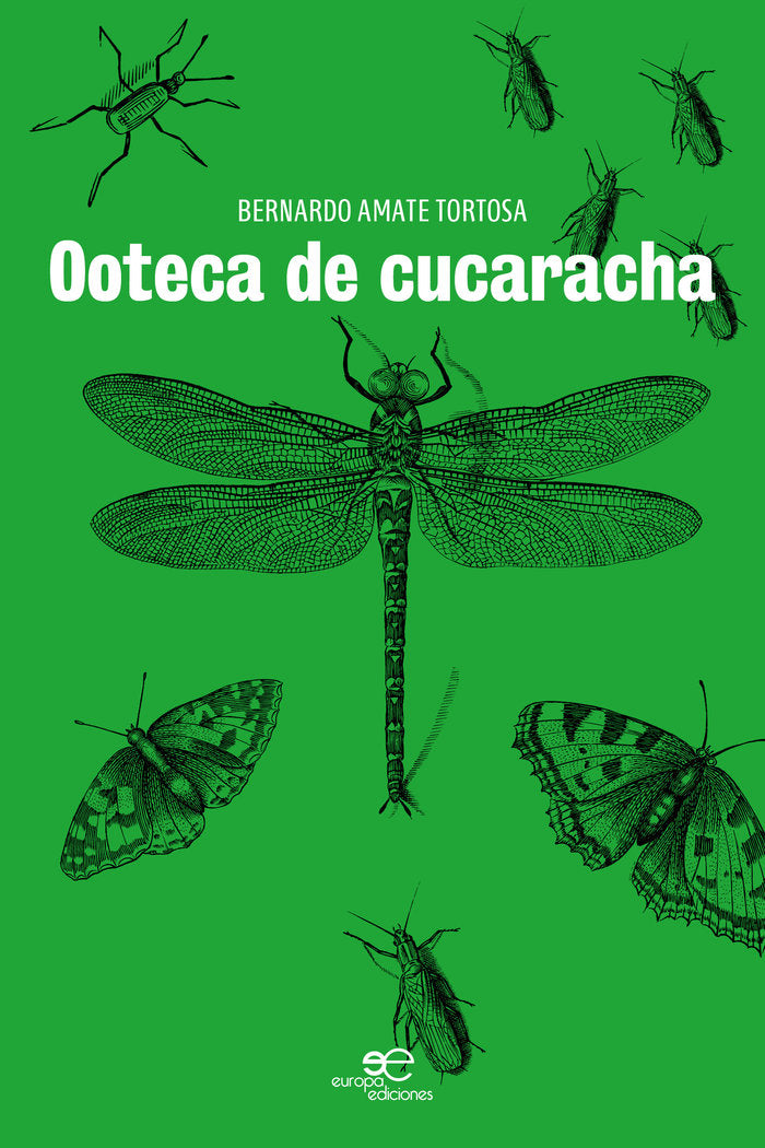 OOTECA DE CUCARACHA, de AMATE TORTOSA, BERNARDO | portada del libro