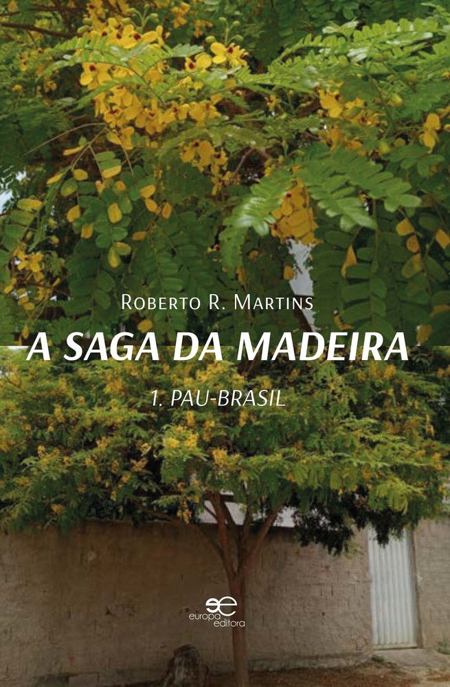 A SAGA DA MADEIRA, de MARTINS, ROBERTO R. | portada del libro