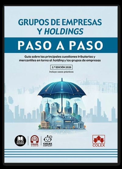Grupos de empresas y holdings paso a paso 2ª ed, de AA.VV. | portada del libro