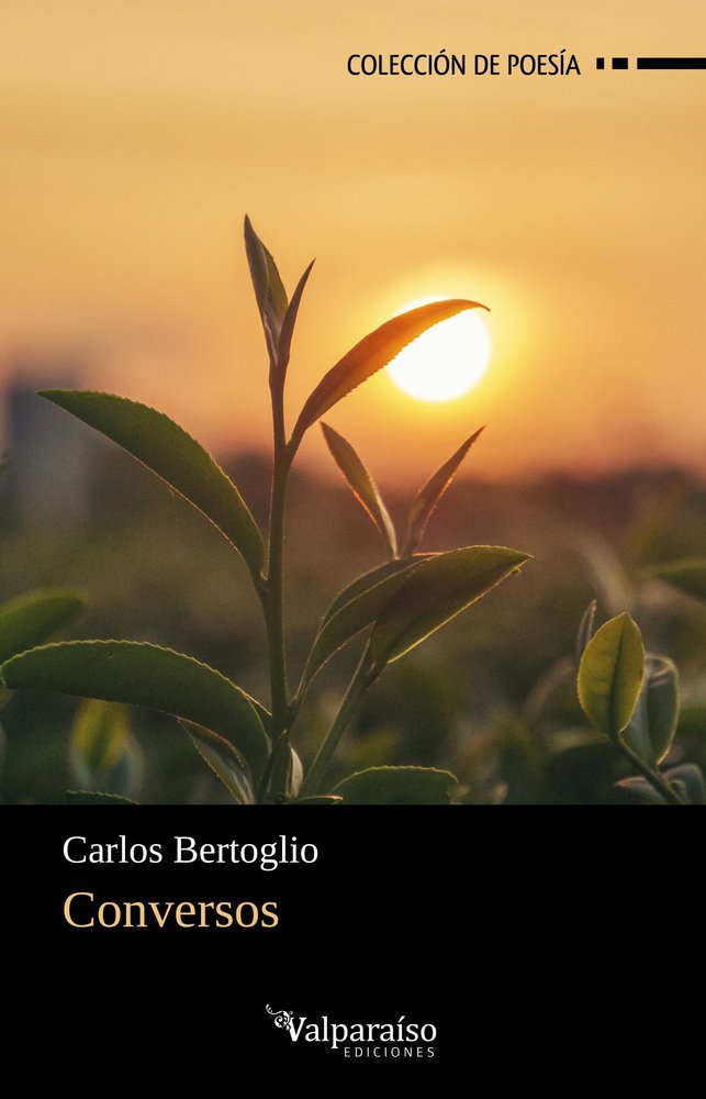 Conversos, de BERTOGLIO,CARLOS | portada del libro