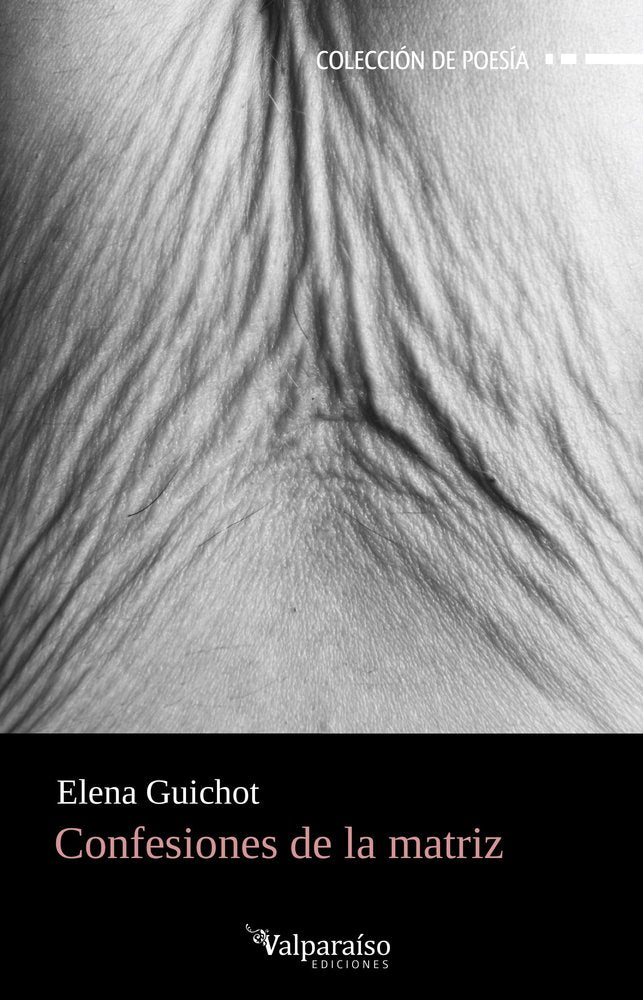 CONFESIONES DE LA MATRIZ, de GUICHOT,ELENA | portada del libro