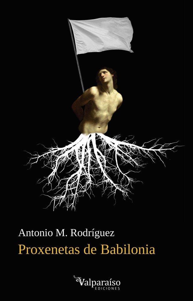 PROXENETAS DE BABILONIA, de RODRIGUEZ,ANTONIO M | portada del libro