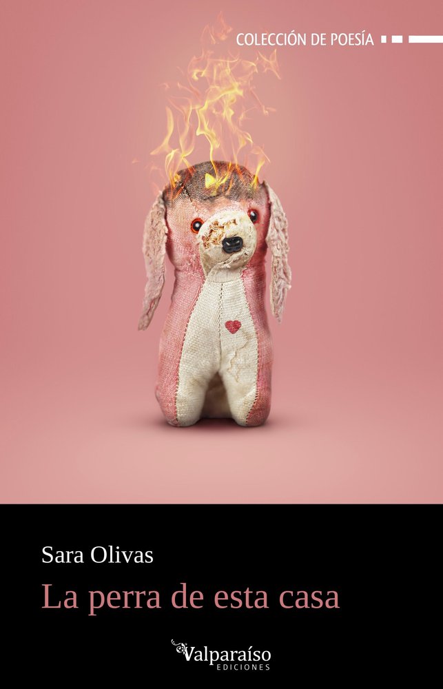 LA PERRA DE ESTA CASA, de OLIVAS,SARA | portada del libro
