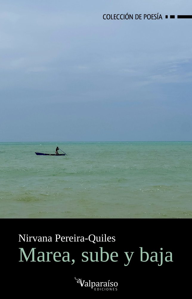 MAREA, SUBE Y BAJA, de PEREIRA-QUILES,NIRVANA | portada del libro