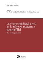 LA RESPONSABILIDAD PENAL EN LA RELACION MATERNO Y PATERNOFI, de BERNARDA MUÑOZ | portada del libro
