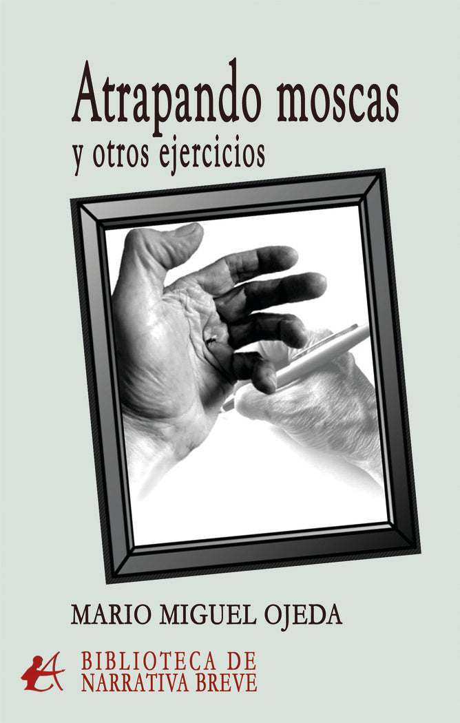 Atrapando moscas y otros ejercicios, de Miguel Ojeda, Mario | portada del libro