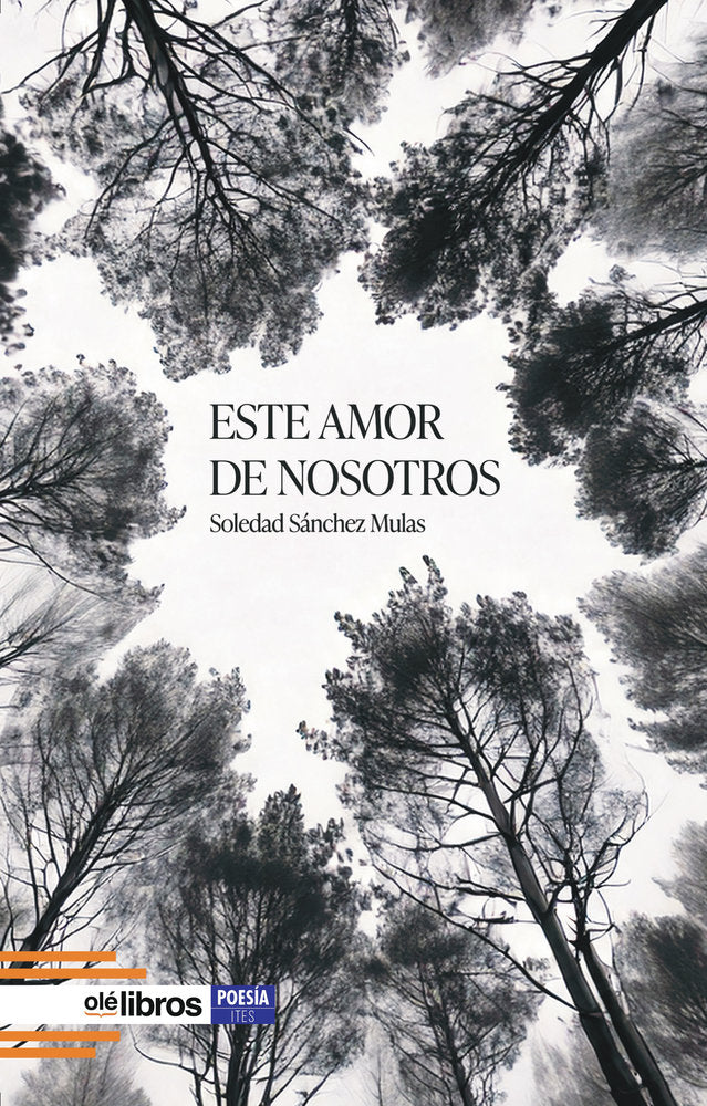 Este amor de nosotros, de Sánchez Mulas, Soledad | portada del libro