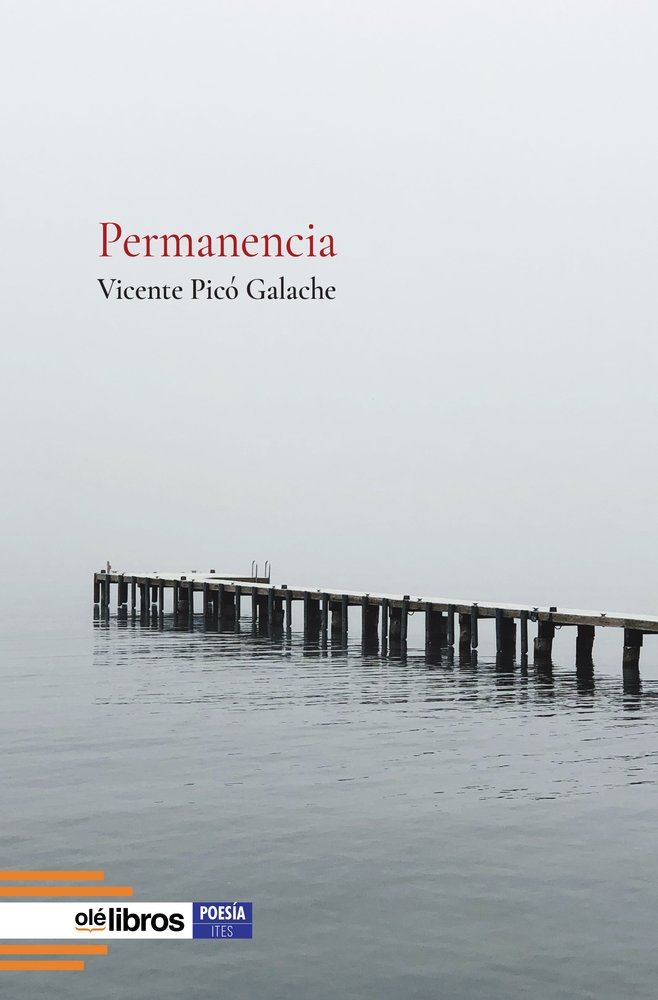 Permanencia, de Picó Galache, Vicente | portada del libro