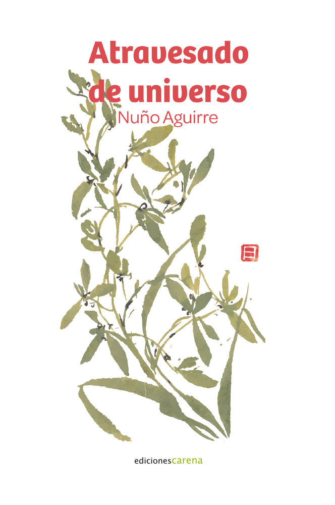 ATRAVESADO DE UNIVERSO | portada del libro