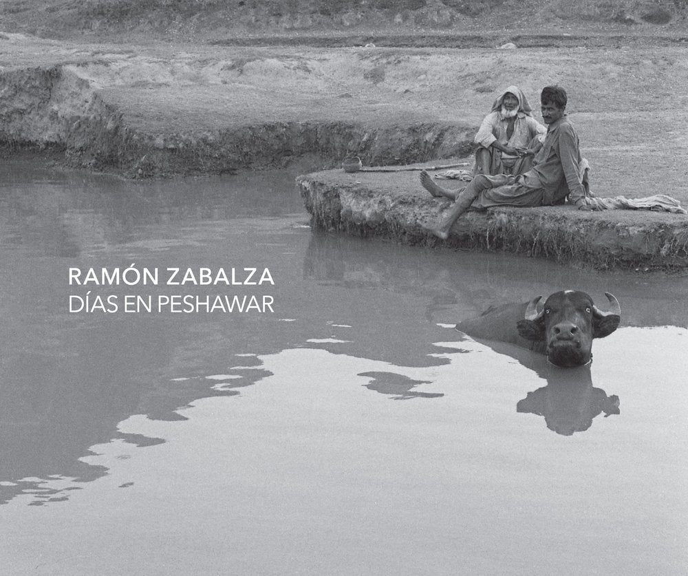 DIAS EN PESHAWAR, de ZABALZA, RAMON | portada del libro