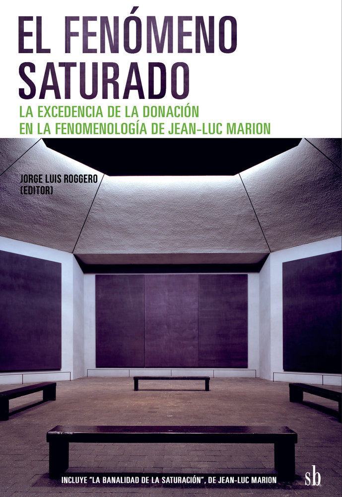 El fenómeno saturado, de Avenatti de Palumbo, Cecilia | portada del libro