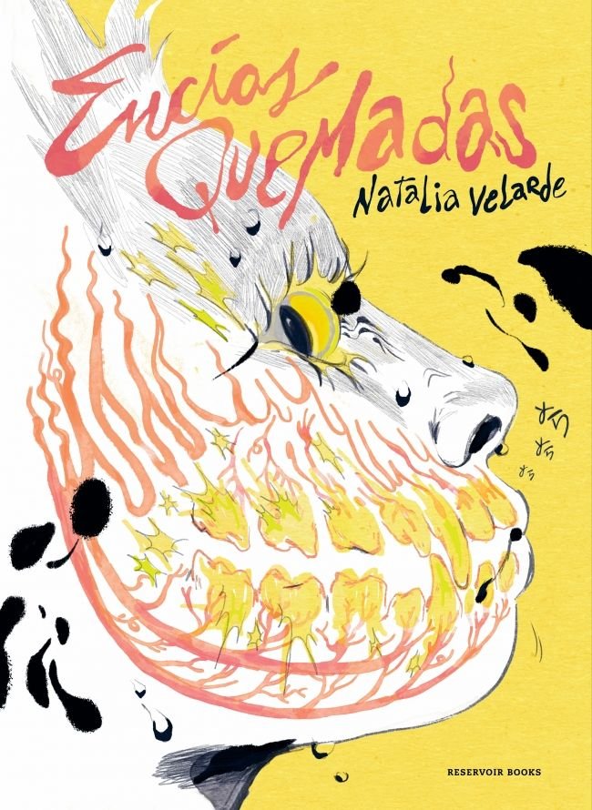 ENCIAS QUEMADAS, de VELARDE, NATALIA | portada del libro