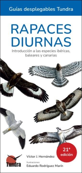 RAPACES DIURNAS 21º EDICION - GUIAS DESPLEGABLES TUNDRA, de HERNANDEZ | portada del libro