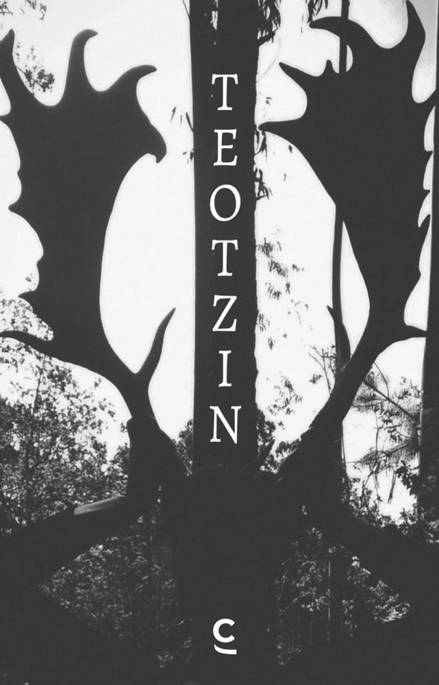 Teotzin, de , Jardón, Elvira | portada del libro