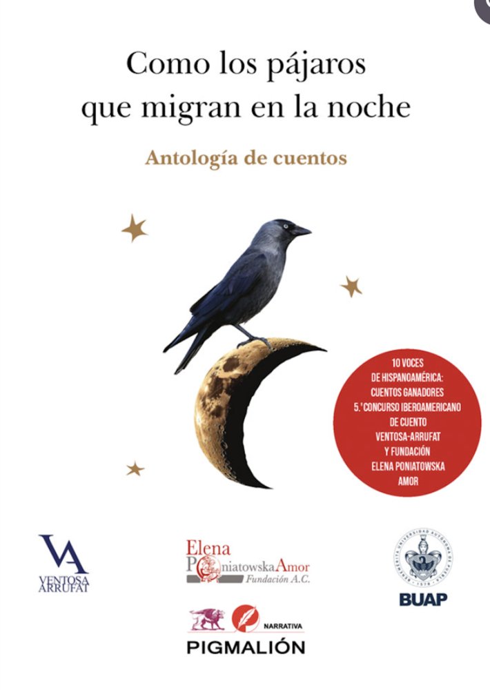 COMO LOS PÁJAROS QUE MIGRAN EN LA NOCHE, de AAVV, AAVV | portada del libro