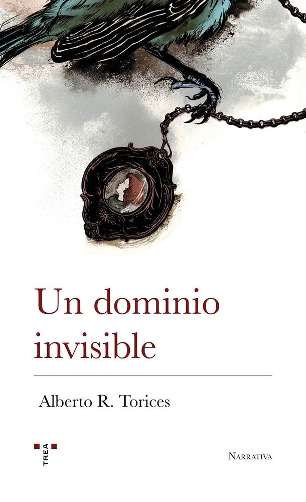 UN DOMINIO INVISIBLE, de R. Torices, Alberto | portada del libro