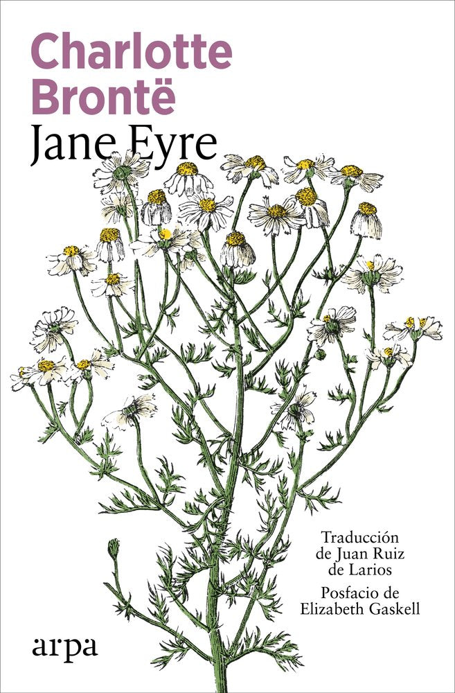 JANE EYRE, de BRONTE, CHARLOTTE | portada del libro