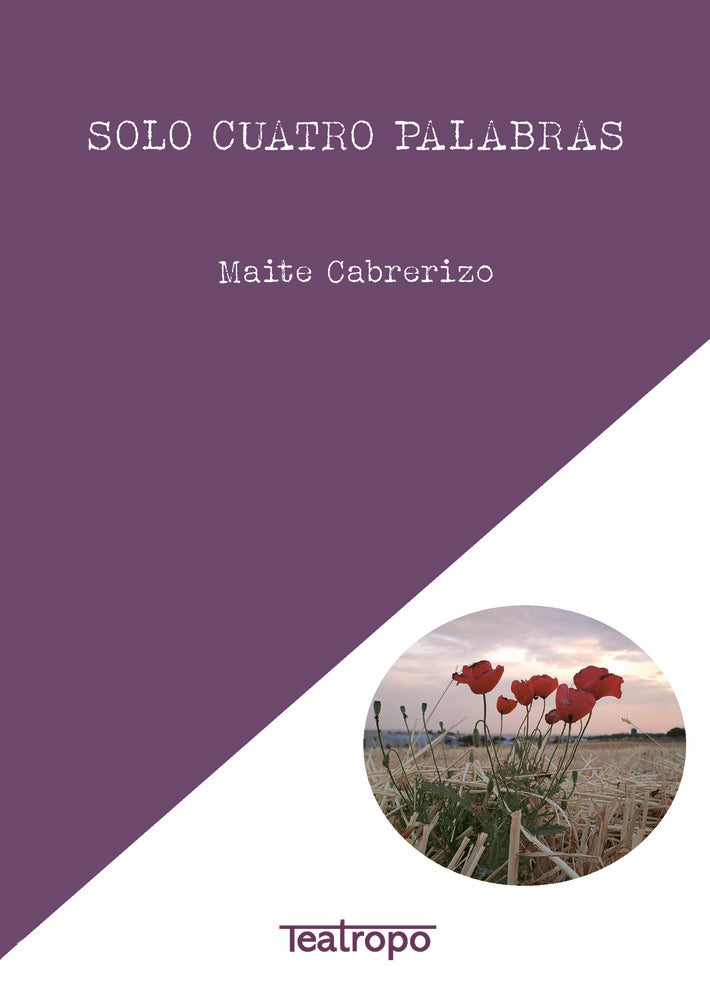 Solo cuatro palabras, de Cabrerizo Benito, Maite | portada del libro