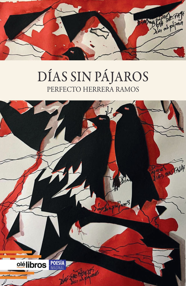 Días sin pájaros, de Herrera Ramos, Perfecto | portada del libro