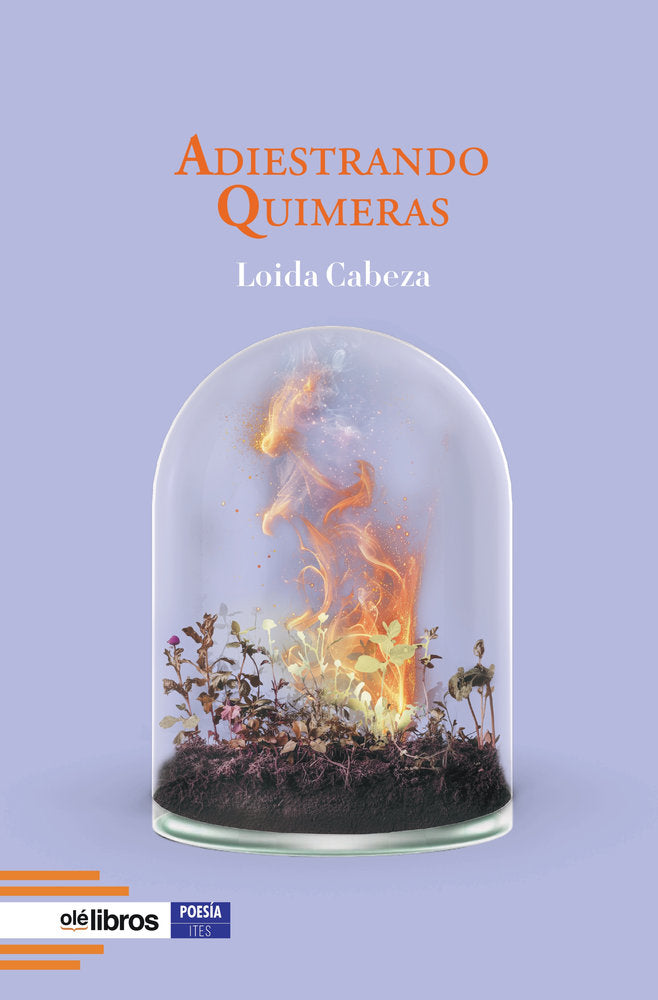 Adiestrando quimeras, de Cabeza, Loida | portada del libro