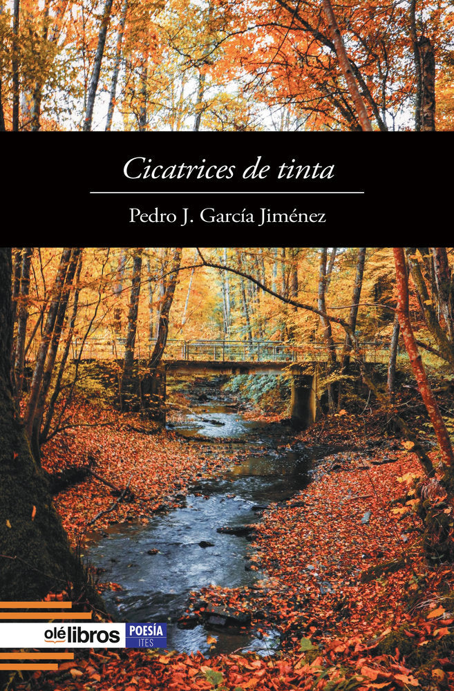 Cicatrices de tinta, de García Jiménez, Pedro J. | portada del libro