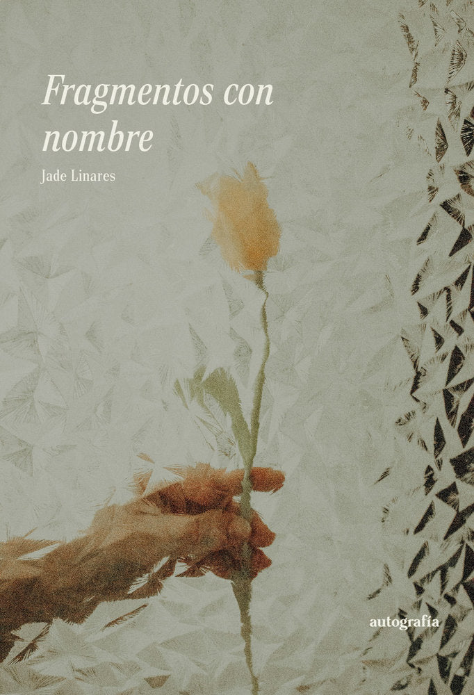 Fragmentos con nombre, de Linares, Jade | portada del libro