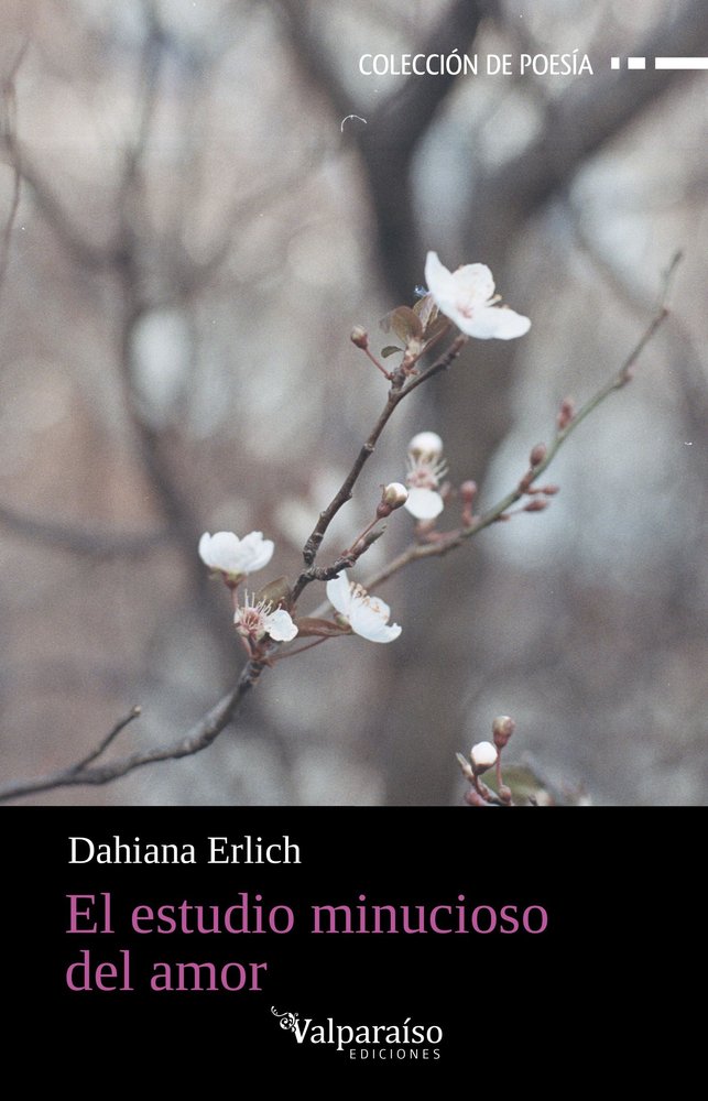 ESTUDIO MINUCIOSO DEL AMOR, EL, de ERLICH,DAHIANA | portada del libro