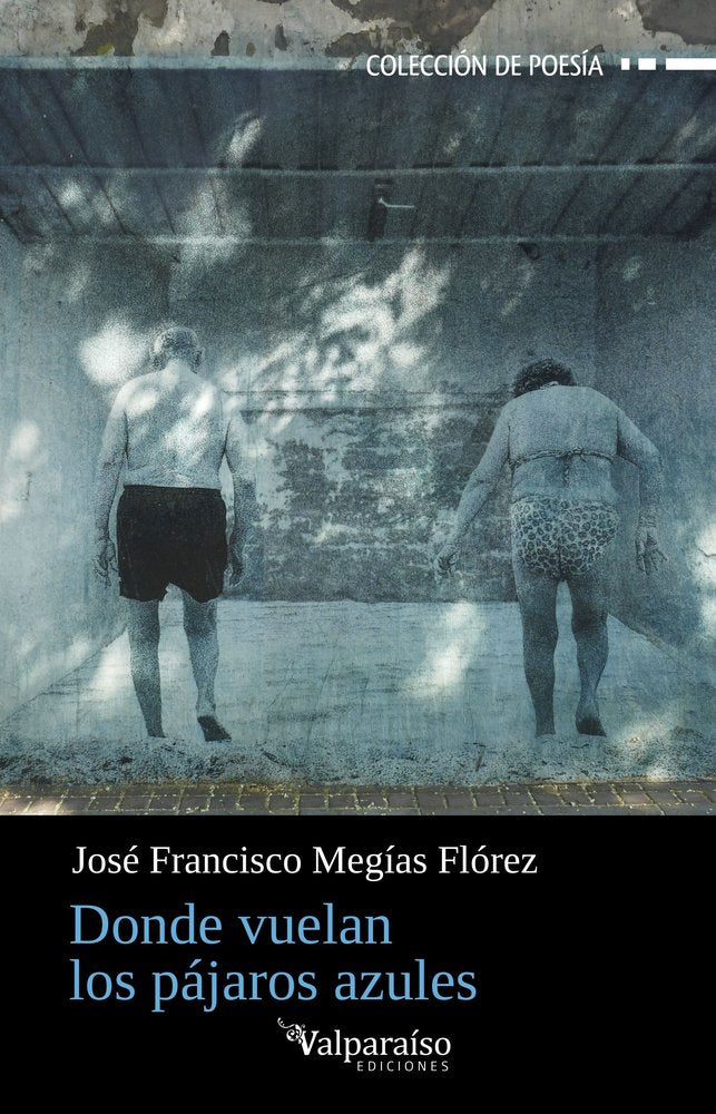 Donde vuelan los pajaros azules, de MEGIAS FLOREZ,JOSE FRANCISCO | portada del libro
