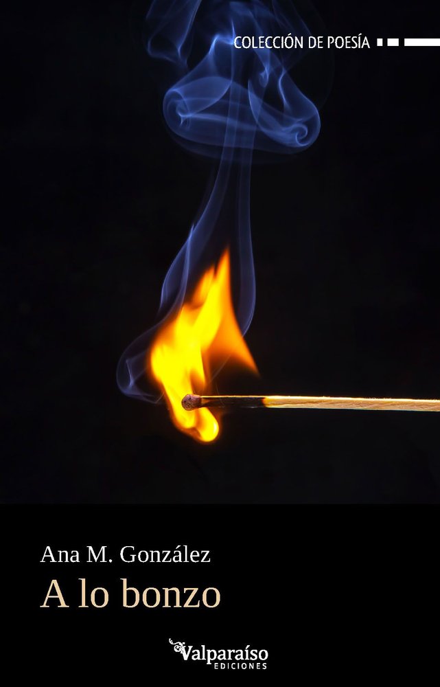 A LO BONZO, de GONZALEZ | portada del libro