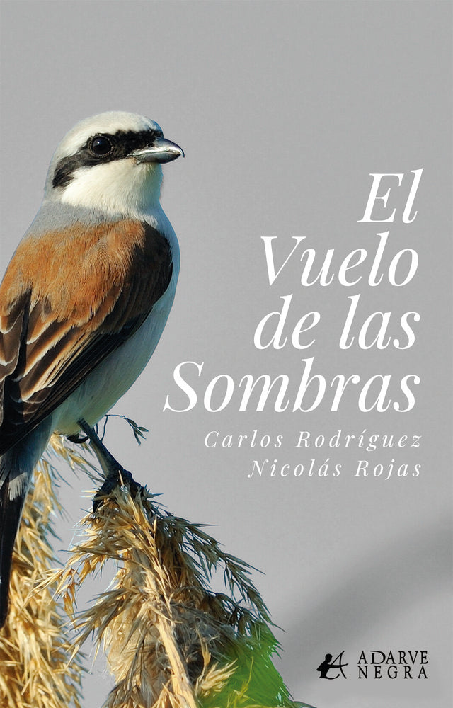 El vuelo de las sombras, de Carlos Rodríguez / Nicolás Rojas, Carlos Rodríguez / Nicolás Rojas | portada del libro
