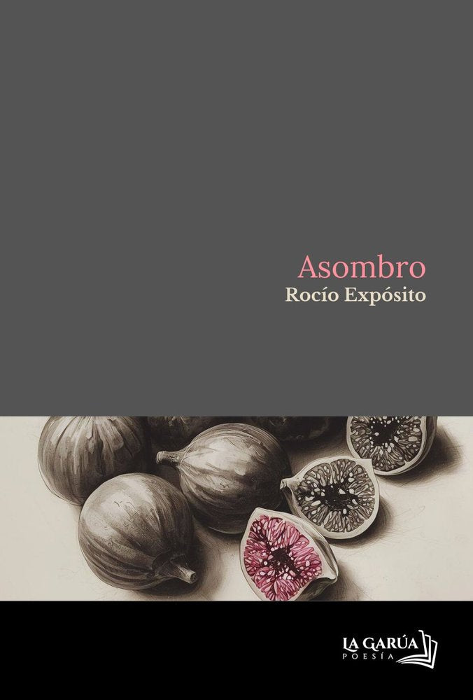 ASOMBRO, de EXPOSITO CARMONA, ROCIO | portada del libro