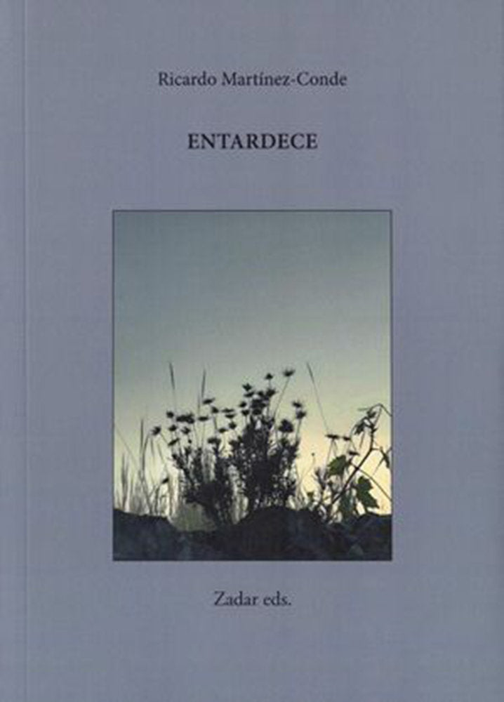 Entardece, de MARTINEZ-CONDE | portada del libro