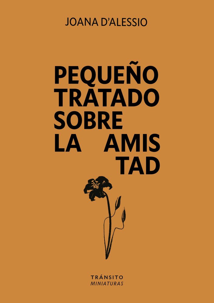 PEQUEÑO TRATADO SOBRE LA AMISTAD, de D'ALESSIO, JOANA | portada del libro