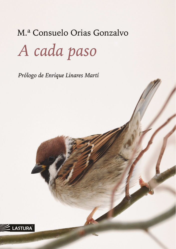 A CADA PASO, de Orias, Consuelo | portada del libro